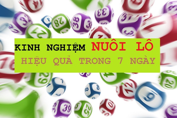 Tham khảo thống kê kết quả xổ số từ các hệ thống thiết bị hiện đại của ku888.vn giúp mang lại hiệu quả cao